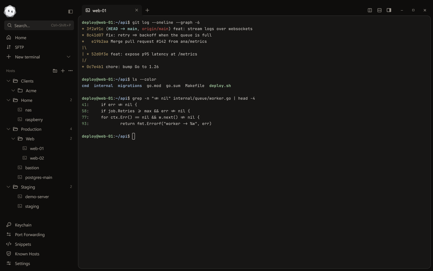 Platty with a terminal session, the hosts sidebar and tabs